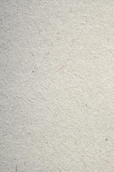 pexels-eva-bronzini-7598536
